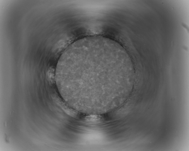 X0000102230672200808221309