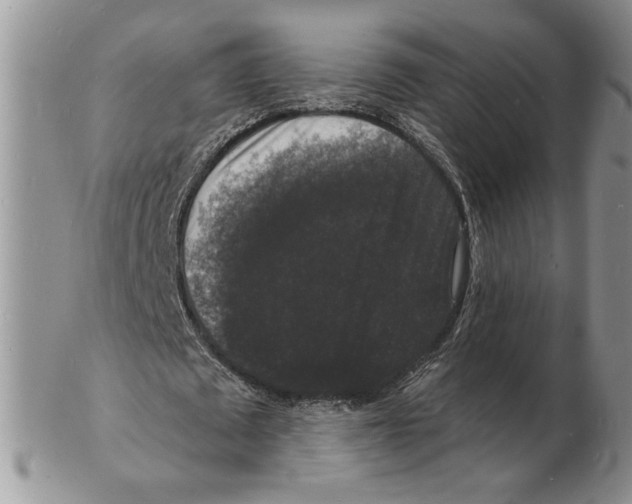 X0000102230673200808221309