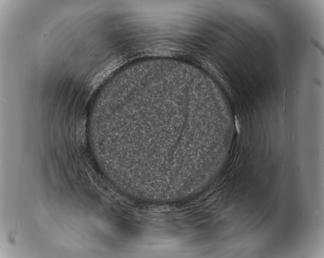 X0000102230675200808221309