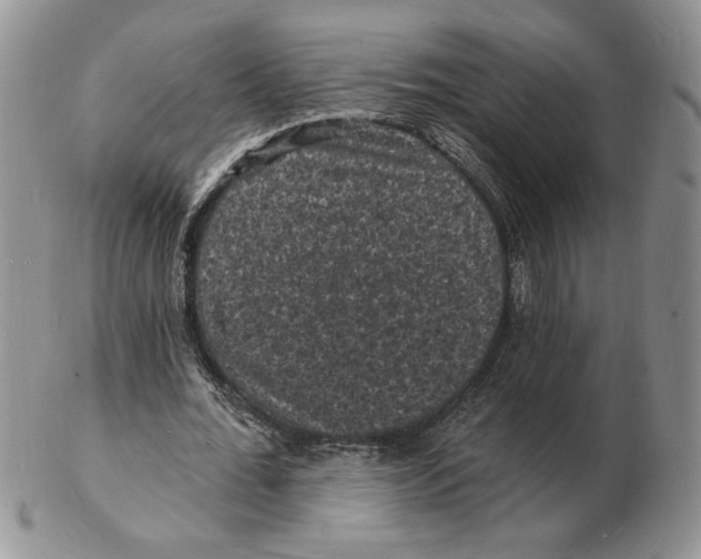 X0000102230676200808221309