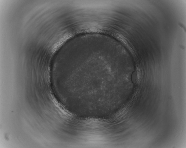 X0000102230677200808221309