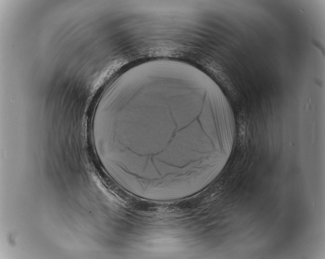 X0000102230678200808221309