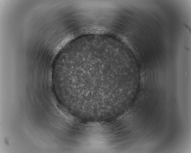 X0000102230679200808221308