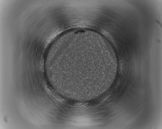 X0000102230680200808221308