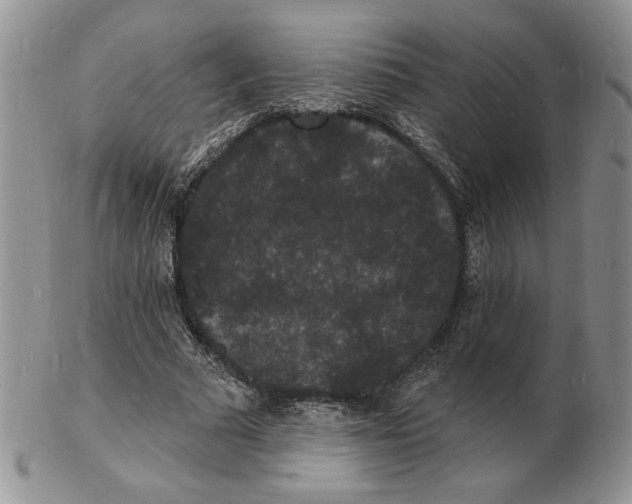 X0000102230681200808221308