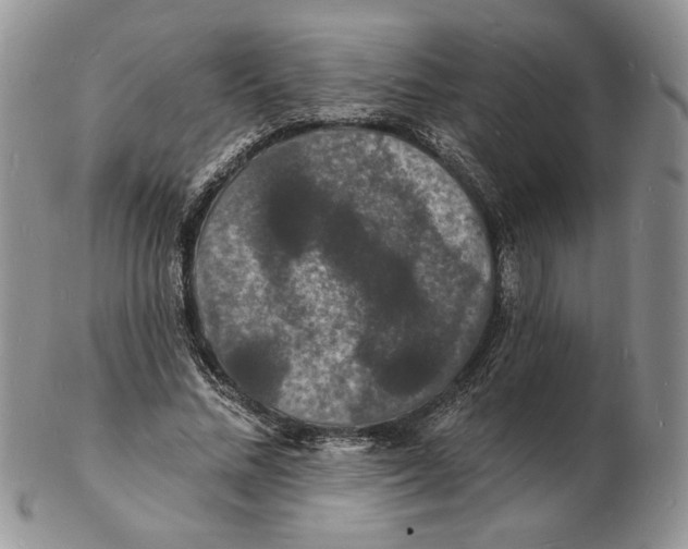 X0000102230684200808221308