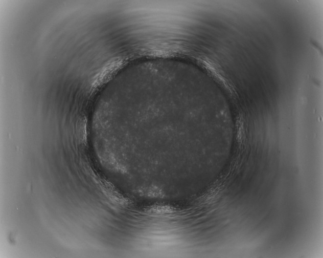 X0000102230685200808221308