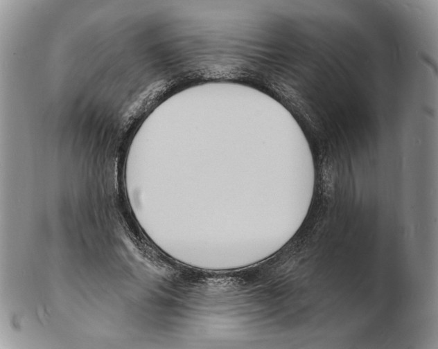 X0000102230686200808221308