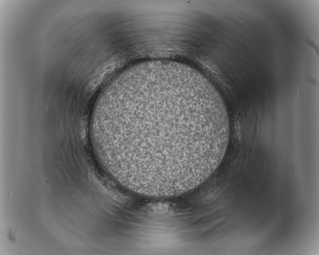 X0000102230687200808221308