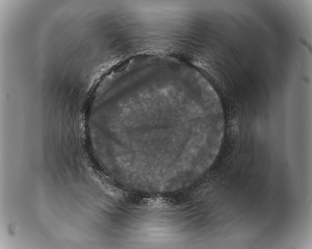 X0000102230688200808221308