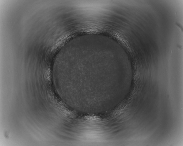 X0000102230689200808221308