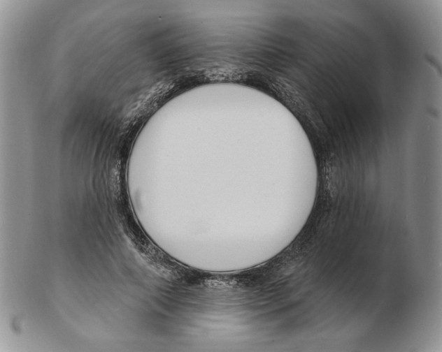 X0000102230690200808221308