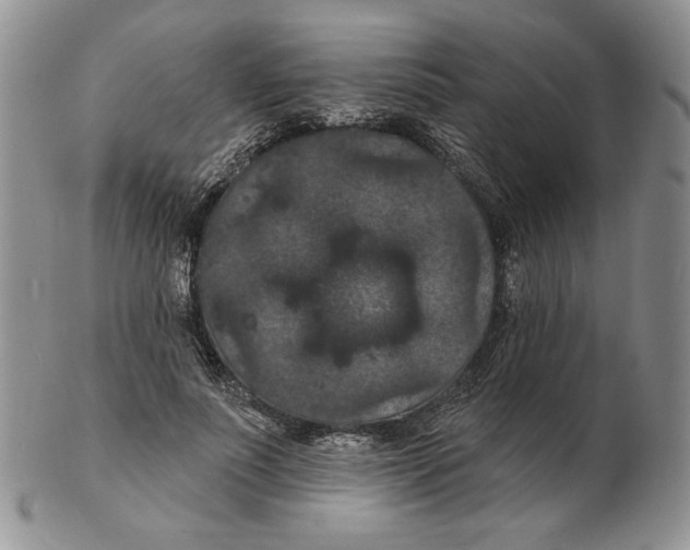 X0000102230691200808221308