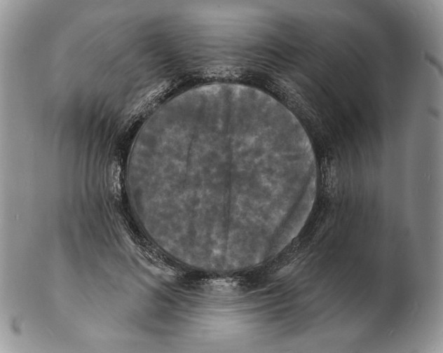 X0000102230692200808221308