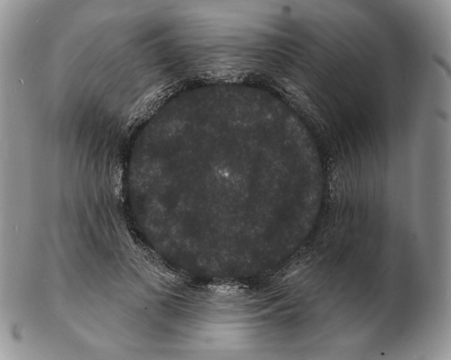 X0000102230693200808221308