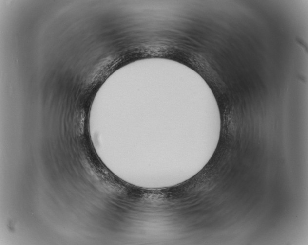 X0000102230694200808221308