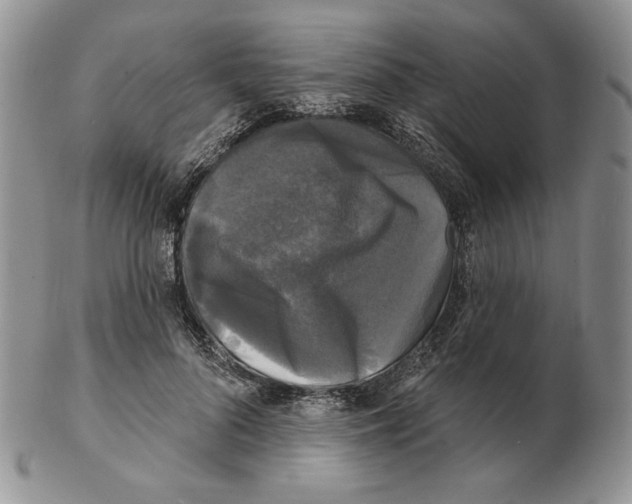X0000102230696200808221308