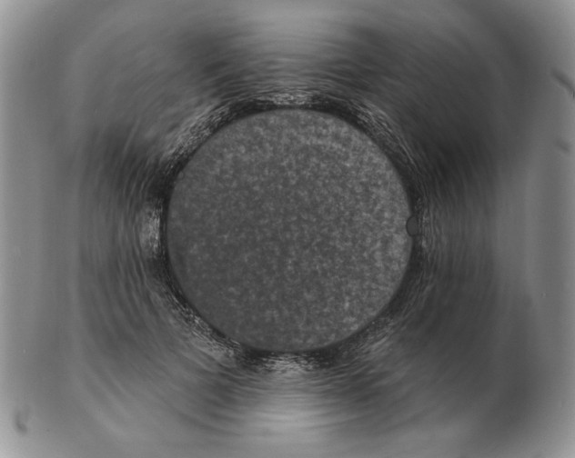 X0000102230697200808221308