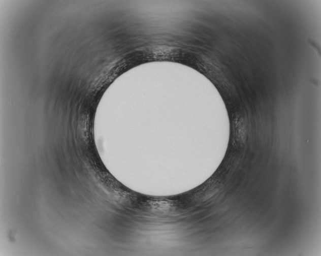 X0000102230698200808221308