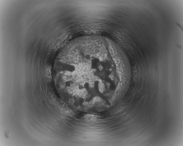 X0000102230699200808221308