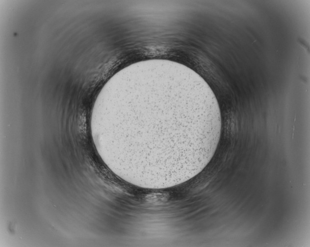 X0000102230700200808221308