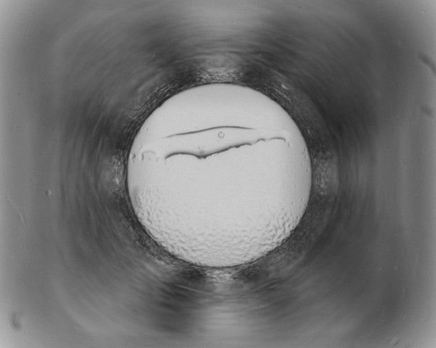 X0000102230701200808221308