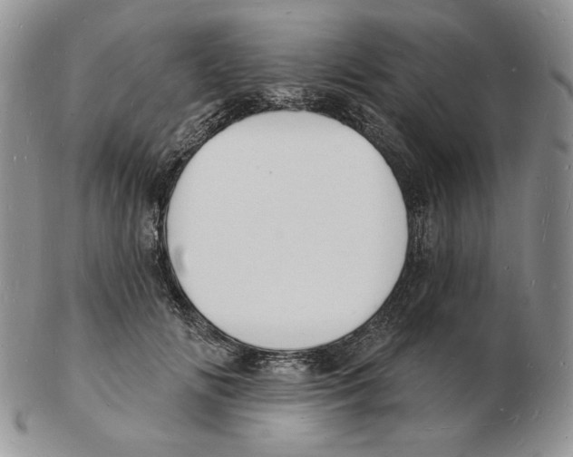 X0000102230702200808221308