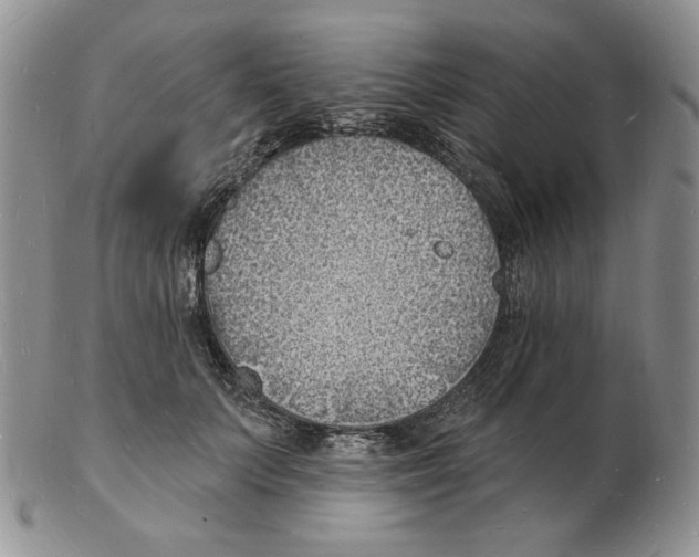X0000102230703200808221308