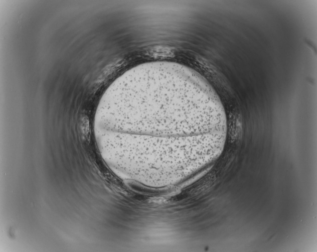 X0000102230704200808221308