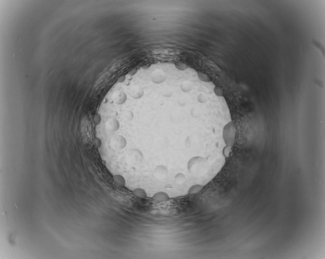 X0000102230705200808221308