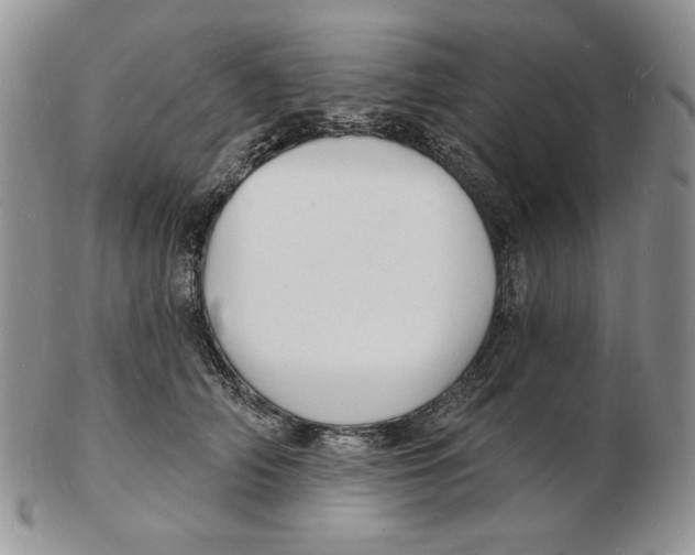 X0000102230706200808221308
