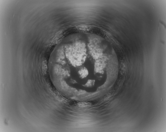 X0000102230707200808221308