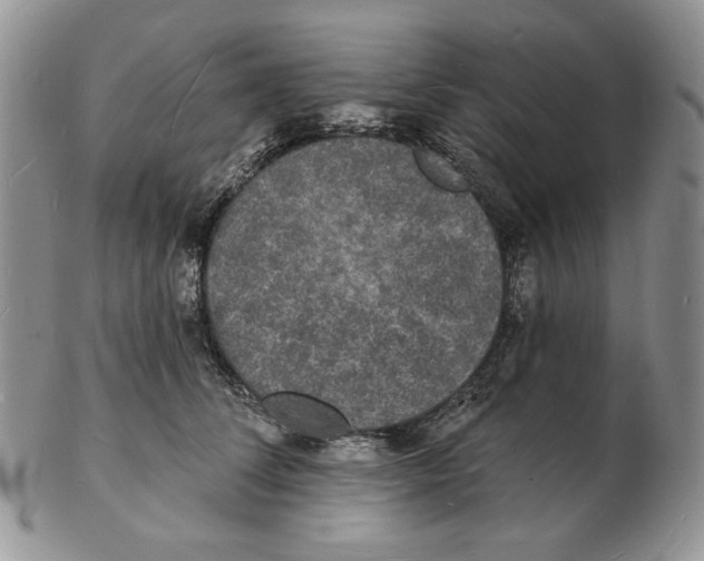 X0000102230708200808221308