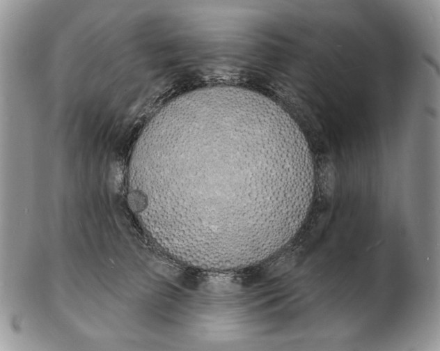 X0000102230709200808221308