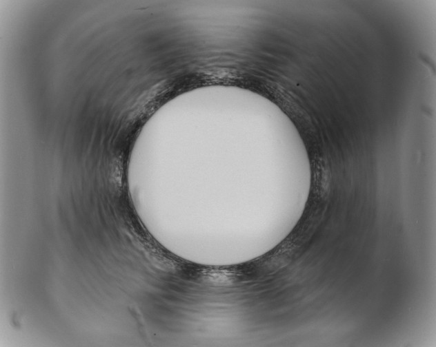 X0000102230710200808221308