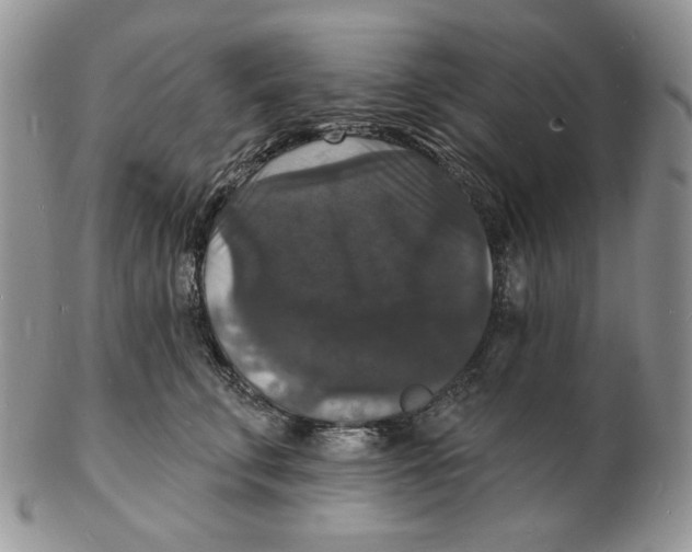 X0000102230711200808221308