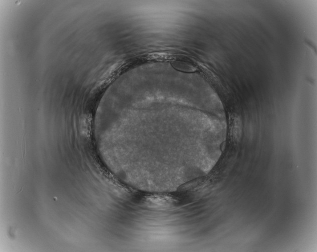 X0000102230712200808221308