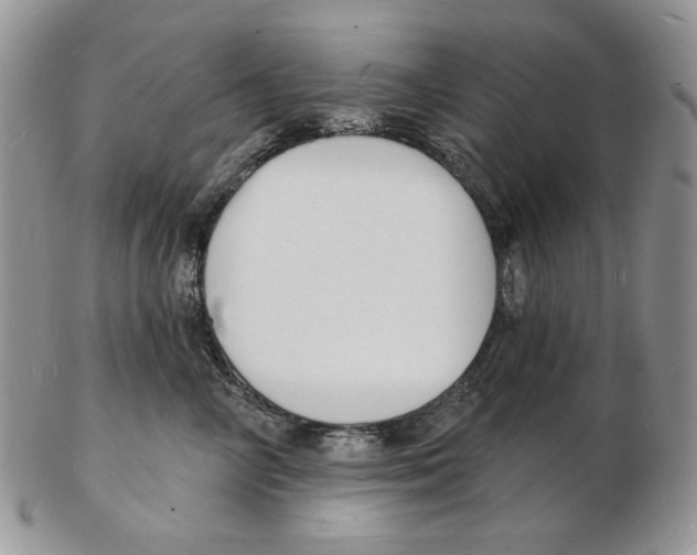 X0000102230714200808221308