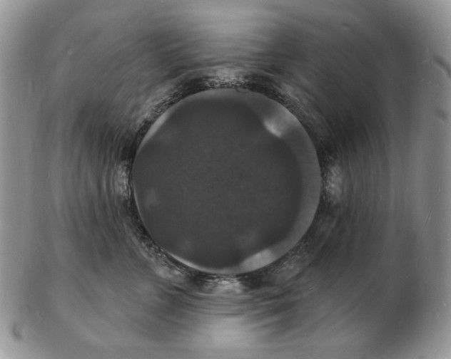 X0000102230715200808221308