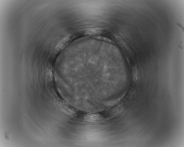 X0000102230716200808221308