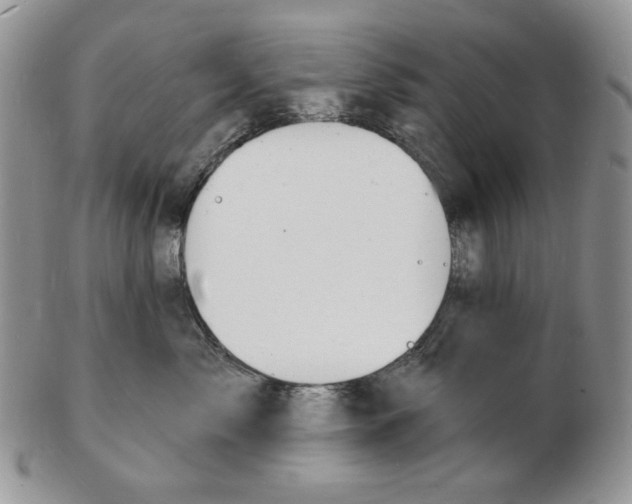 X0000102230717200808221308