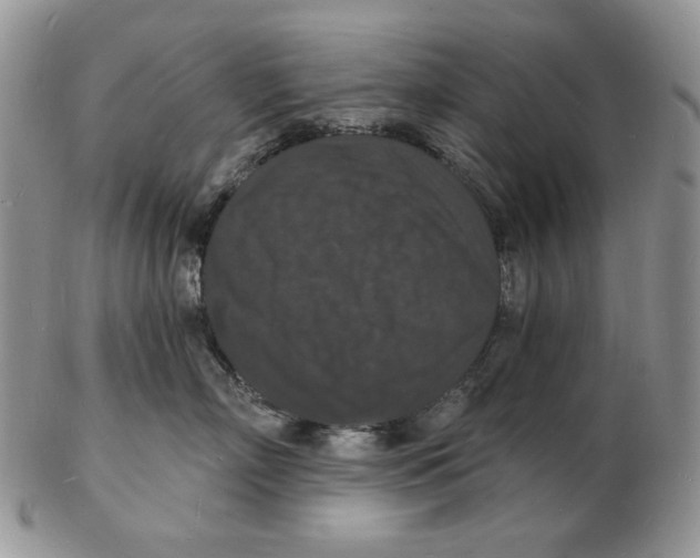 X0000102230718200808221308