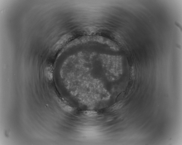X0000102230719200808221308