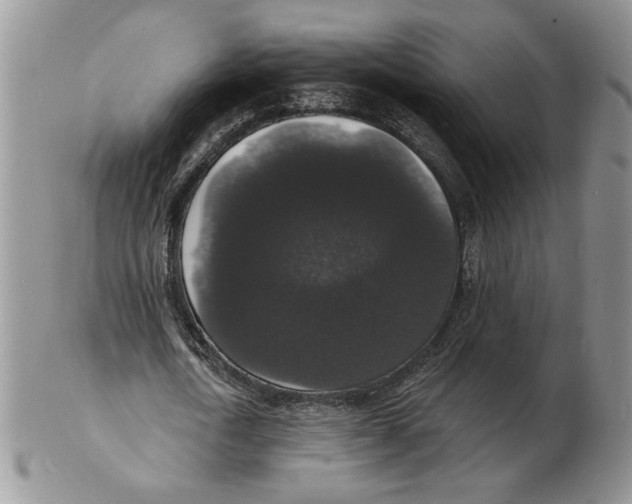 X0000102230722200808221307