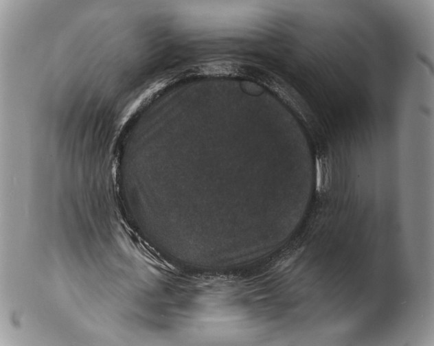 X0000102230723200808221307