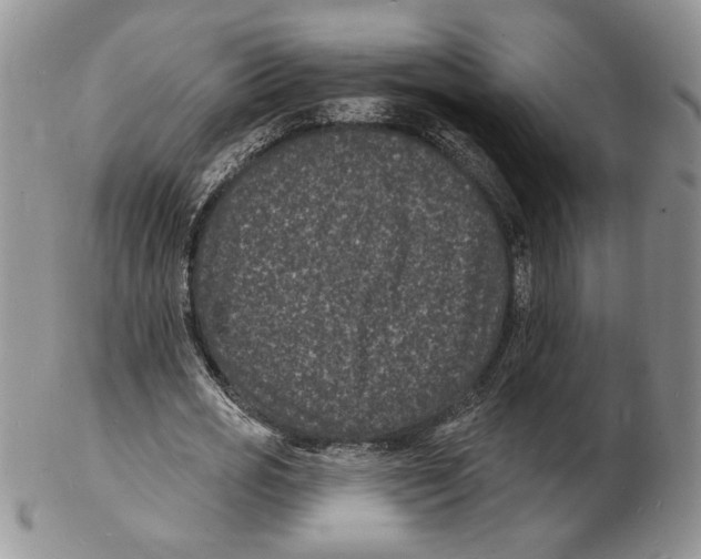 X0000102230725200808221307