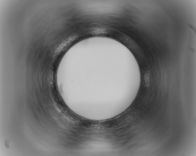 X0000102230732200808221307