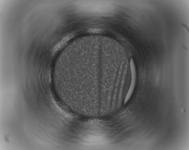 X0000102230734200808221307