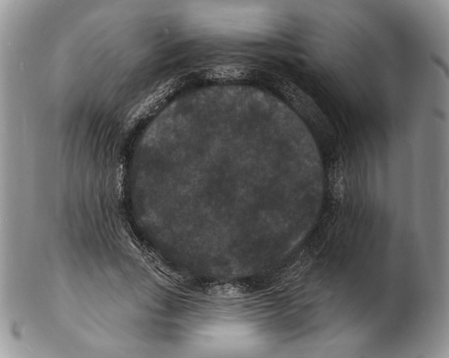 X0000102230735200808221307