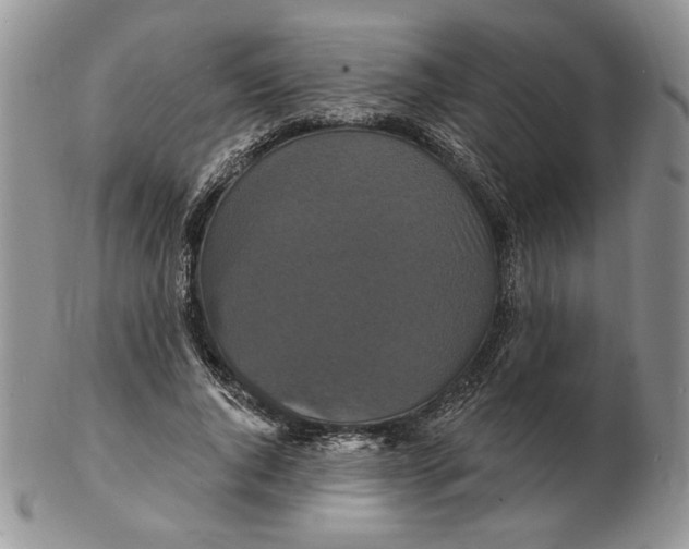 X0000102230736200808221307